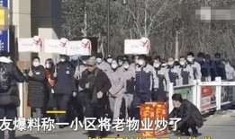 苏州小区物业最新爆料,揭秘社区生活那些事儿