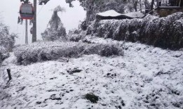 成都下雪最新爆料,冬日美景刷屏全网